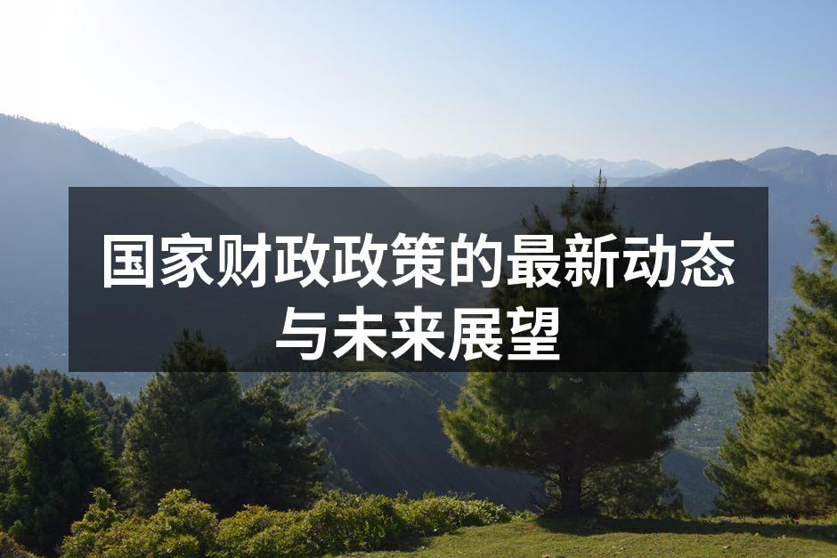 国家财政政策的最新动态与未来展望