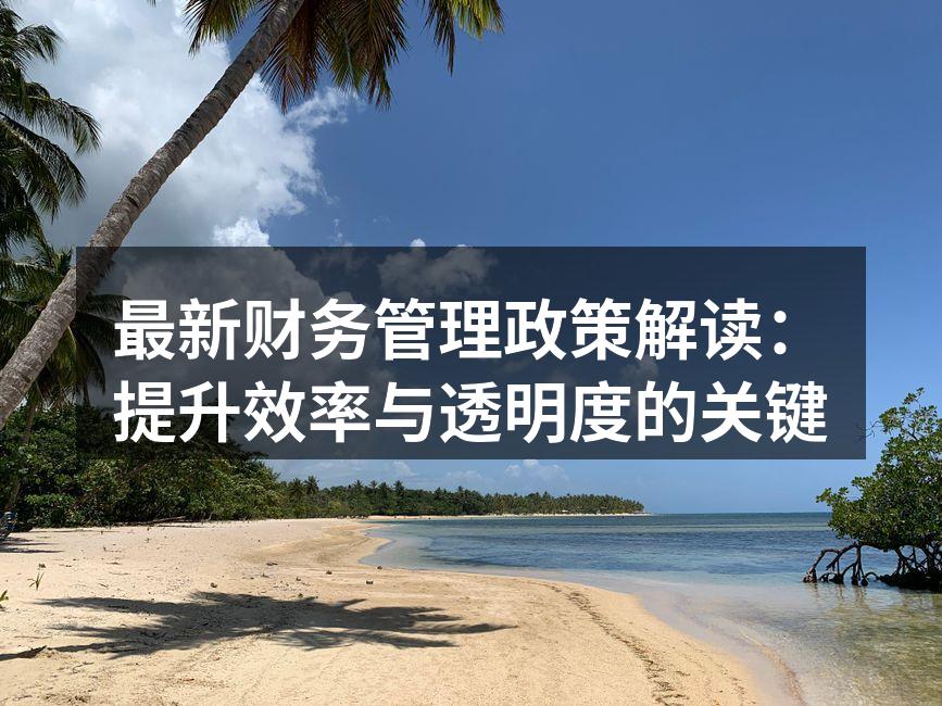 最新财务管理政策解读：提升效率与透明度的